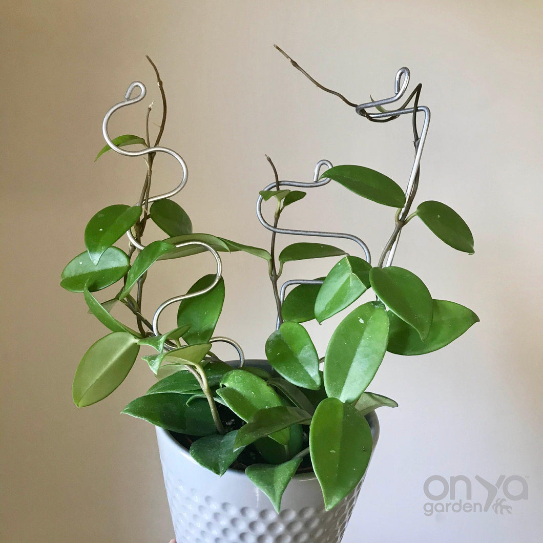 Set of 3 Steel Indoor Plant Sticks - Houseplant Stem Supporters-Plant Stick-On Ya Garden