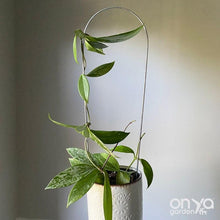 Load image into Gallery viewer, Steel Arch Indoor Plant Trellis - 3 sizes available-Trellis-On Ya Garden
