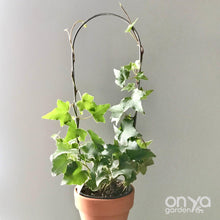 Load image into Gallery viewer, Steel Arch Indoor Plant Trellis - 3 sizes available-Trellis-On Ya Garden
