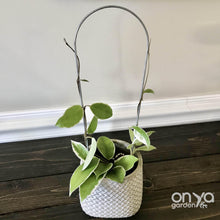Load image into Gallery viewer, Steel Arch Indoor Plant Trellis - 3 sizes available-Trellis-On Ya Garden

