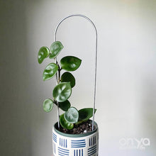 Load image into Gallery viewer, Steel Arch Indoor Plant Trellis - 3 sizes available-Trellis-On Ya Garden
