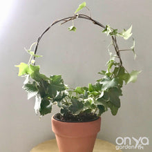Load image into Gallery viewer, Steel Circle Indoor Houseplant Trellis - 4 sizes available-Trellis-On Ya Garden

