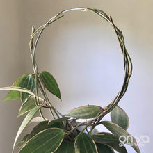 Load image into Gallery viewer, Steel Circle Indoor Houseplant Trellis - 4 sizes available-Trellis-On Ya Garden
