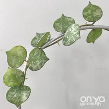Load image into Gallery viewer, Steel Circle Indoor Houseplant Trellis - 4 sizes available-Trellis-On Ya Garden
