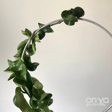 Load image into Gallery viewer, Steel Circle Indoor Houseplant Trellis - 4 sizes available-Trellis-On Ya Garden
