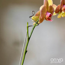 Load image into Gallery viewer, Steel Curl Indoor Plant Stick - Large Plant Orchid Stake - 2 Sizes Available-Plant Stick-On Ya Garden
