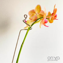 Load image into Gallery viewer, Steel Curl Indoor Plant Stick - Large Plant Orchid Stake - 2 Sizes Available-Plant Stick-On Ya Garden

