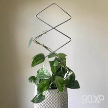 Load image into Gallery viewer, Steel Diamond Duo Indoor Plant Trellis for Hoyas and Houseplants-Trellis-On Ya Garden
