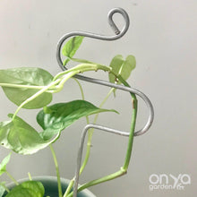 Load image into Gallery viewer, Steel Hairpin Curve Indoor Plant Stick-Plant Stick-On Ya Garden
