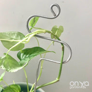 Steel Hairpin Curve Indoor Plant Stick-Plant Stick-On Ya Garden
