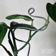 Load image into Gallery viewer, Steel Hairpin Curve Indoor Plant Stick-Plant Stick-On Ya Garden
