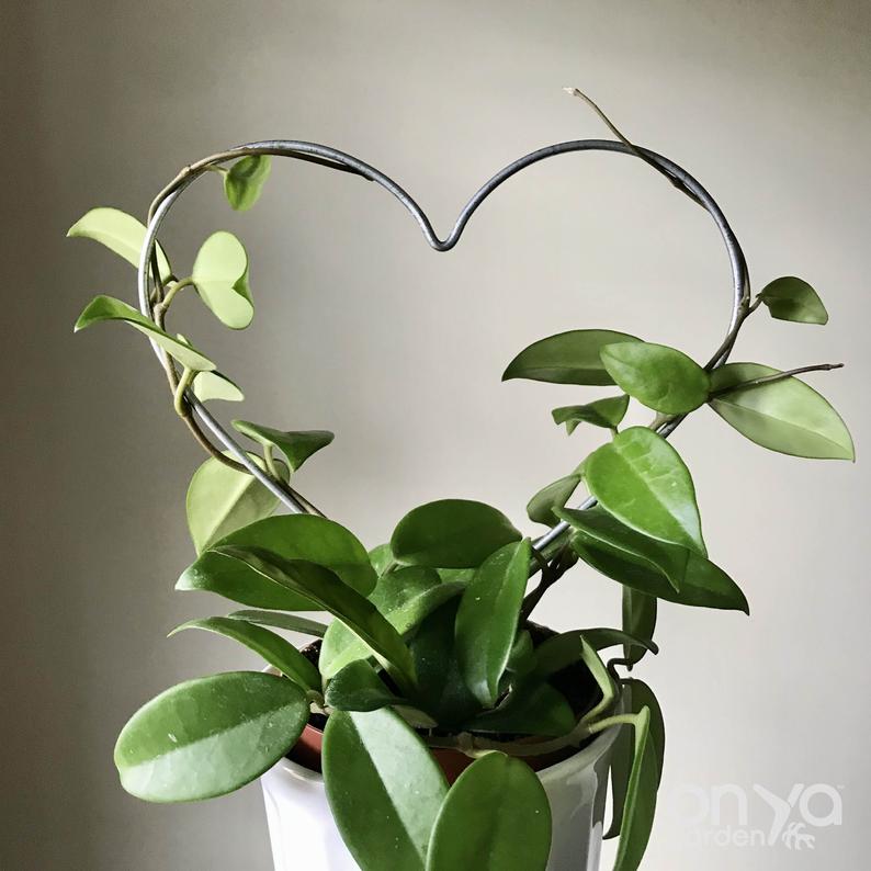 heart trellis for plants Steel Heart Plant Trellis, 3 Sizes Available – On Ya Garden