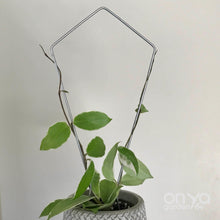 Load image into Gallery viewer, Steel Kite Diamond House Plant Trellis- 2 Sizes Available-Trellis-On Ya Garden
