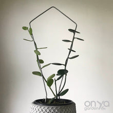 Load image into Gallery viewer, Steel Kite Diamond House Plant Trellis- 2 Sizes Available-Trellis-On Ya Garden
