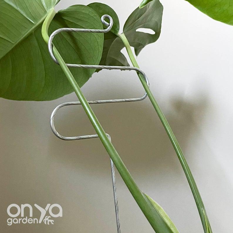 large indoor plant stakes Steel Large Hairpin Curve Plant Stick, Long Decorative Plant Stake 9" Hairpin