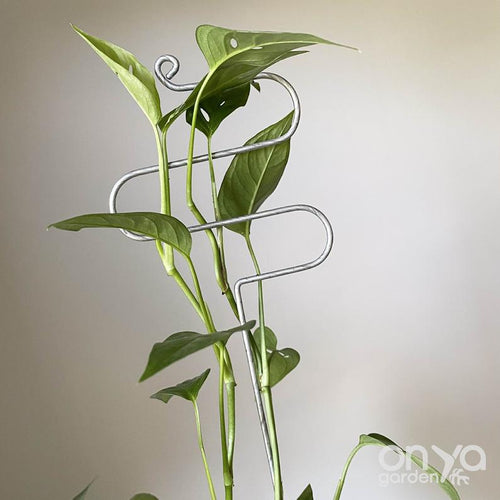 Steel Large Hairpin Curve Indoor Plant Stick - 16