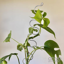 Load image into Gallery viewer, Steel Large Serpent Plant Stick - 18&quot; Indoor Plant Stake-Plant Stick-On Ya Garden

