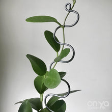 Load image into Gallery viewer, Steel Large Serpent Plant Stick - 18&quot; Indoor Plant Stake-Plant Stick-On Ya Garden
