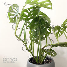 Load image into Gallery viewer, Steel Large Serpent Plant Stick - 18&quot; Indoor Plant Stake-Plant Stick-On Ya Garden
