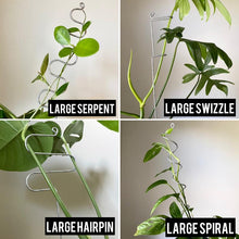 Load image into Gallery viewer, Steel Plant Stick - Indoor Houseplant Stem Supporter - Choose from 16 Options-Plant Stick-On Ya Garden
