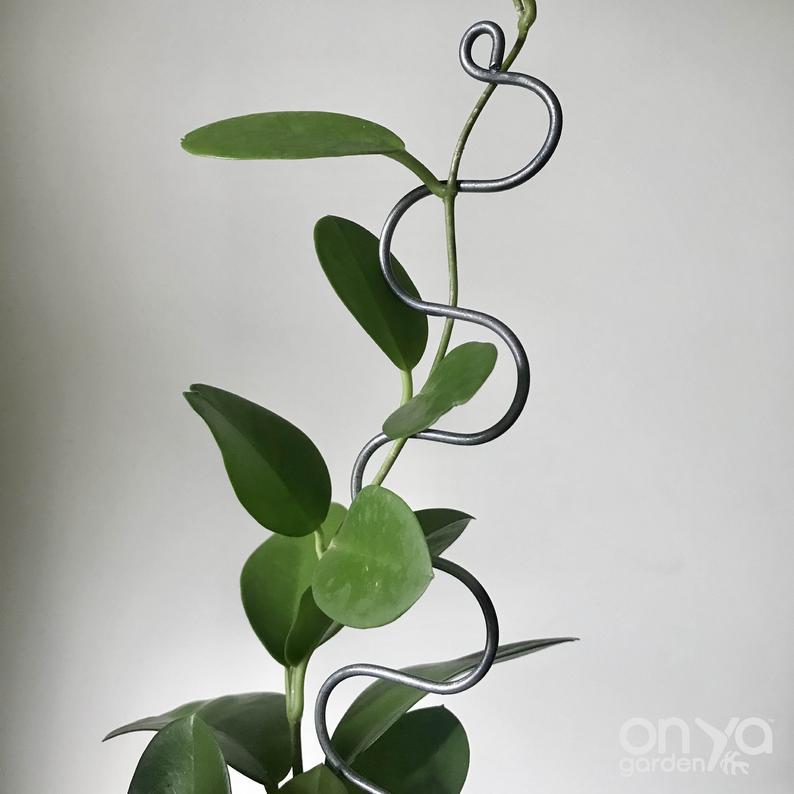Steel Plant Stick - Indoor Houseplant Stem Supporter - Choose from 16 Options-Plant Stick-On Ya Garden