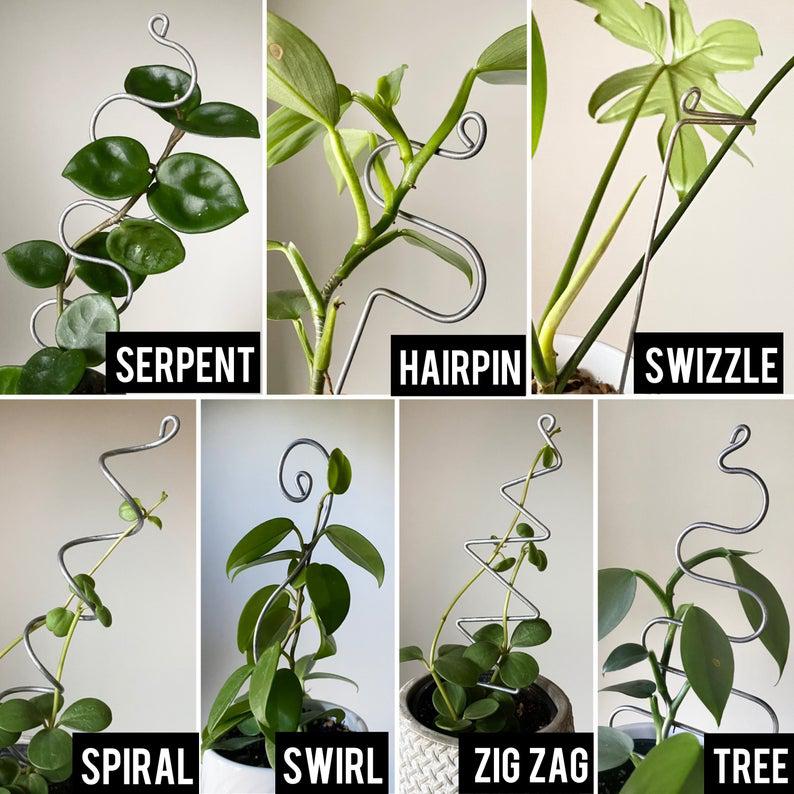 Copper and Steel Plant Sticks | Houseplant Stem Supports  On Ya Garden