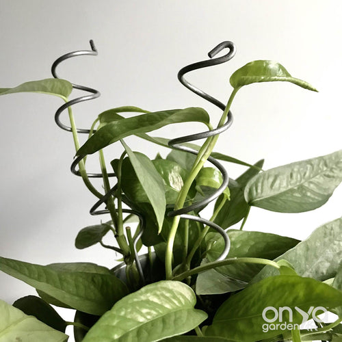 Steel Spiral Plant Sticks Set of 2 - Stem Supporters for Houseplants-Plant Stick-On Ya Garden