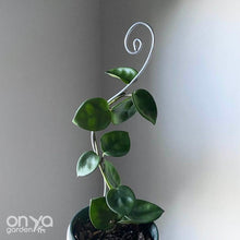 Load image into Gallery viewer, Steel Swirl Plant Stick Stem Supporter-Plant Stick-On Ya Garden
