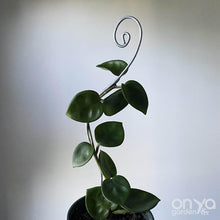 Load image into Gallery viewer, Steel Swirl Plant Stick Stem Supporter-Plant Stick-On Ya Garden
