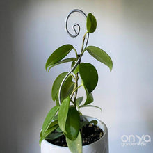 Load image into Gallery viewer, Steel Swirl Plant Stick Stem Supporter-Plant Stick-On Ya Garden
