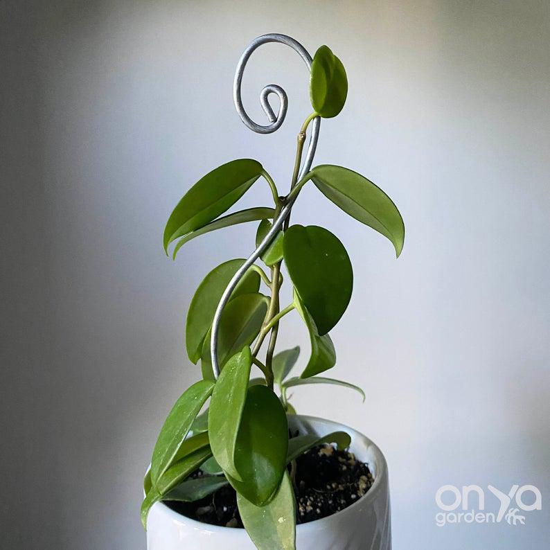 Steel Swirl Plant Stick Stem Supporter-Plant Stick-On Ya Garden