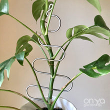 Load image into Gallery viewer, Steel Tree Plant Stick for House Plants and Hoyas-Plant Stick-On Ya Garden
