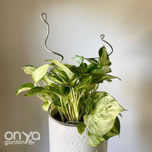Load image into Gallery viewer, Steel Twirl and Whirl Plant Sticks - Unique Plant Stakes for Indoor Plants-Plant Stick-On Ya Garden
