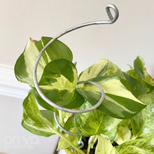 Load image into Gallery viewer, Steel Twirl and Whirl Plant Sticks - Unique Plant Stakes for Indoor Plants-Plant Stick-On Ya Garden
