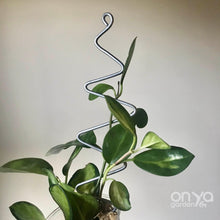 Load image into Gallery viewer, Steel Zig Zag Plant Stick - Stem Supporter for Houseplants-Plant Stick-On Ya Garden
