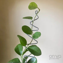 Load image into Gallery viewer, Steel Zig Zag Plant Stick - Stem Supporter for Houseplants-Plant Stick-On Ya Garden
