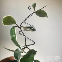 Load image into Gallery viewer, Steel Zig Zag Plant Stick - Stem Supporter for Houseplants-Plant Stick-On Ya Garden
