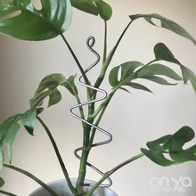 Load image into Gallery viewer, Steel Zig Zag Plant Stick - Stem Supporter for Houseplants-Plant Stick-On Ya Garden
