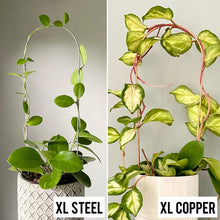 Load image into Gallery viewer, XL 24&quot; Pointed Arch Trellis or 24&quot; Arch Trellis for House Plants- Copper or Steel-Trellis-On Ya Garden
