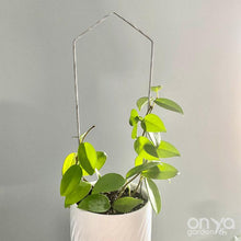 Load image into Gallery viewer, XL 24&quot; Pointed Arch Trellis or 24&quot; Arch Trellis for House Plants- Copper or Steel-Trellis-On Ya Garden
