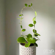 Load image into Gallery viewer, XL 24&quot; Pointed Arch Trellis or 24&quot; Arch Trellis for House Plants- Copper or Steel-Trellis-On Ya Garden
