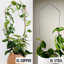Load image into Gallery viewer, XL 24&quot; Pointed Arch Trellis or 24&quot; Arch Trellis for House Plants- Copper or Steel-Trellis-On Ya Garden
